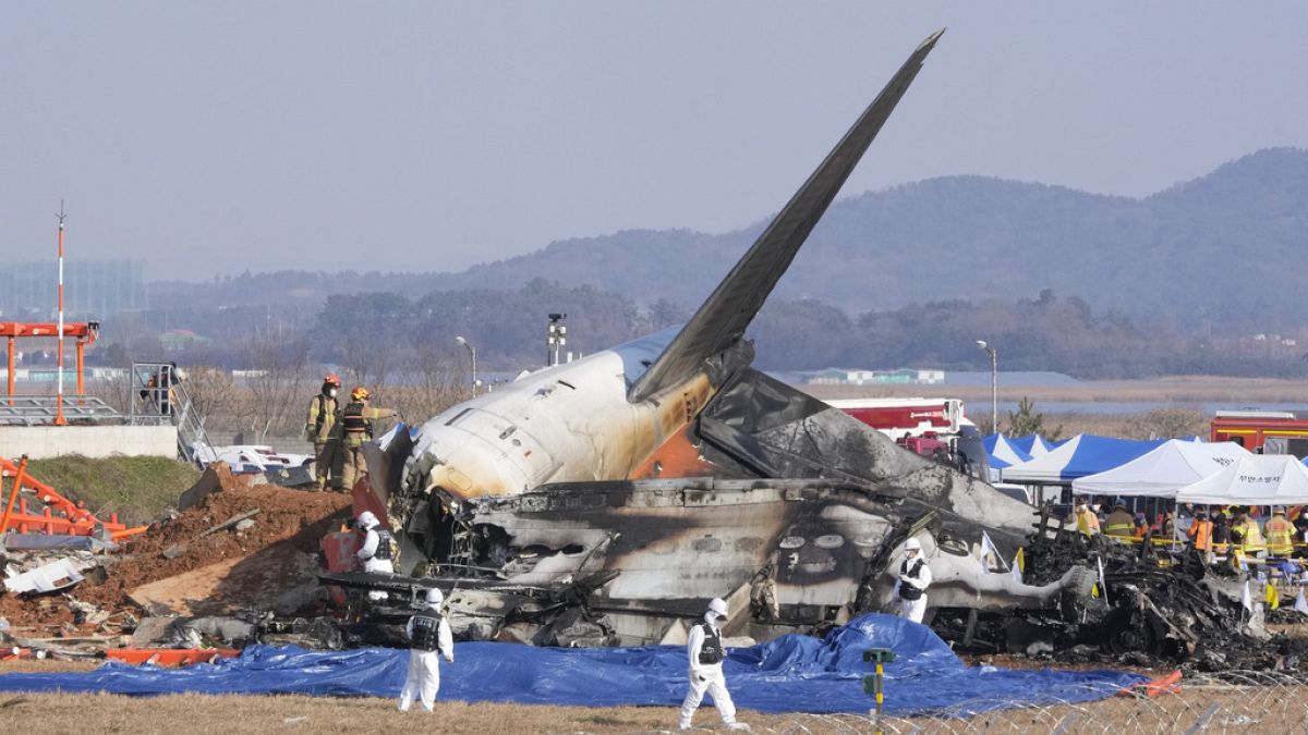 Vídeo. VÍDEO: Corea del Sur rinde homenaje a las víctimas del accidente aéreo Vídeo. VÍDEO: Corea del Sur rinde homenaje a las víctimas del accidente aéreo
