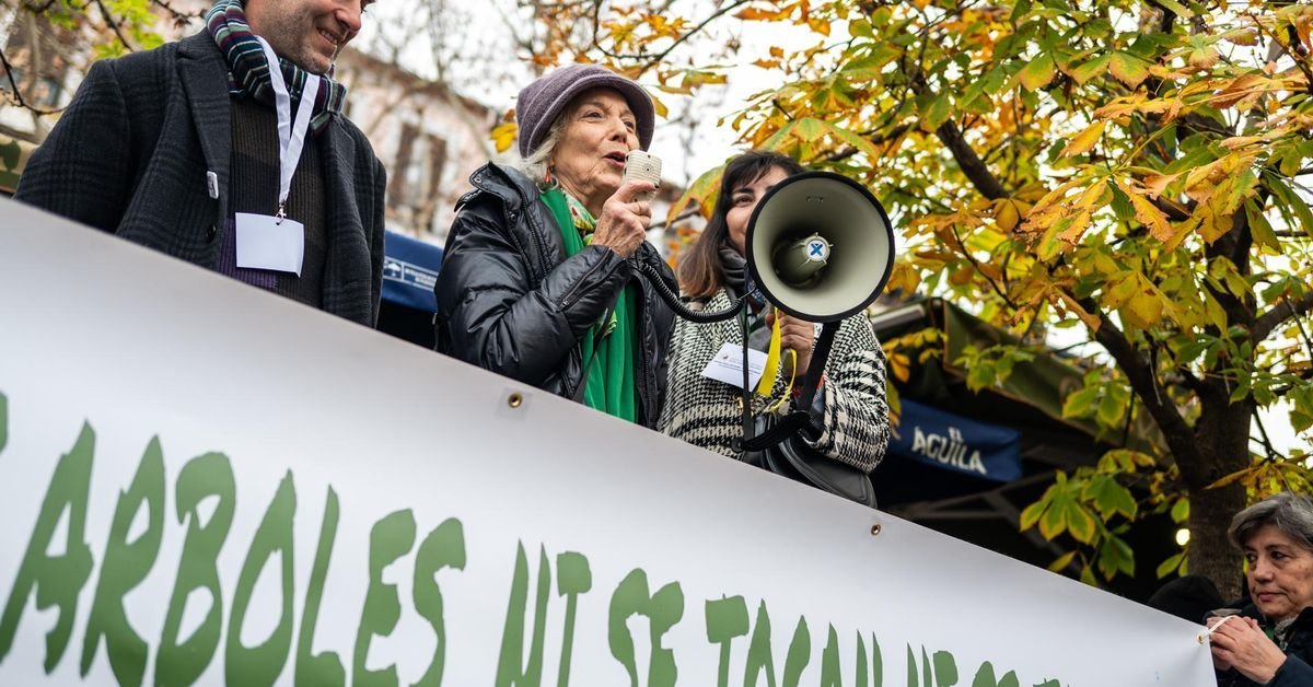 La Casa Real ignora la muerte de Paredes, como Feijóo, Ayuso y Almeida