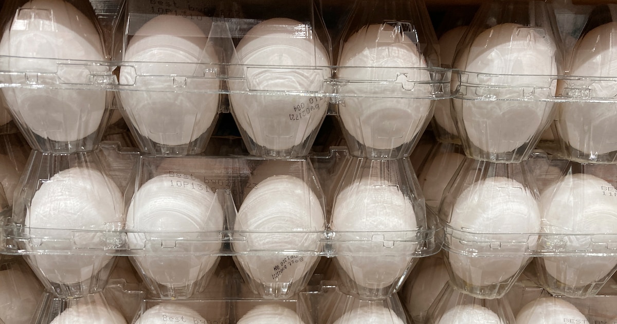 La FDA elevó su nivel de alerta de retiro de huevos vendidos en Costco por riesgo de salmonela La FDA elevó su nivel de alerta de retiro de huevos vendidos en Costco por riesgo de salmonela