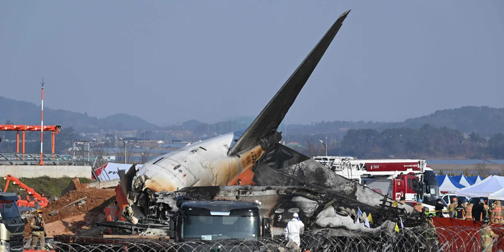 Tragedia aérea en Corea del Sur: «Un pájaro ha quedado atrapado en un ala y no podemos aterrizar» Tragedia aérea en Corea del Sur: «Un pájaro ha quedado atrapado en un ala y no podemos aterrizar»