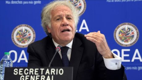 “Es un crimen de lesa humanidad” – eju.tv “Es un crimen de lesa humanidad” – eju.tv