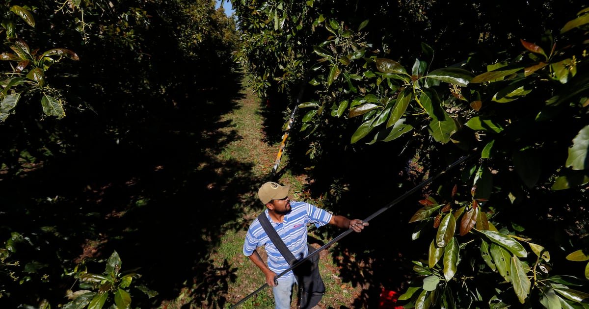 Estas son las claves en la relación comercial de ‘amor-odio’ con EU – El Financiero